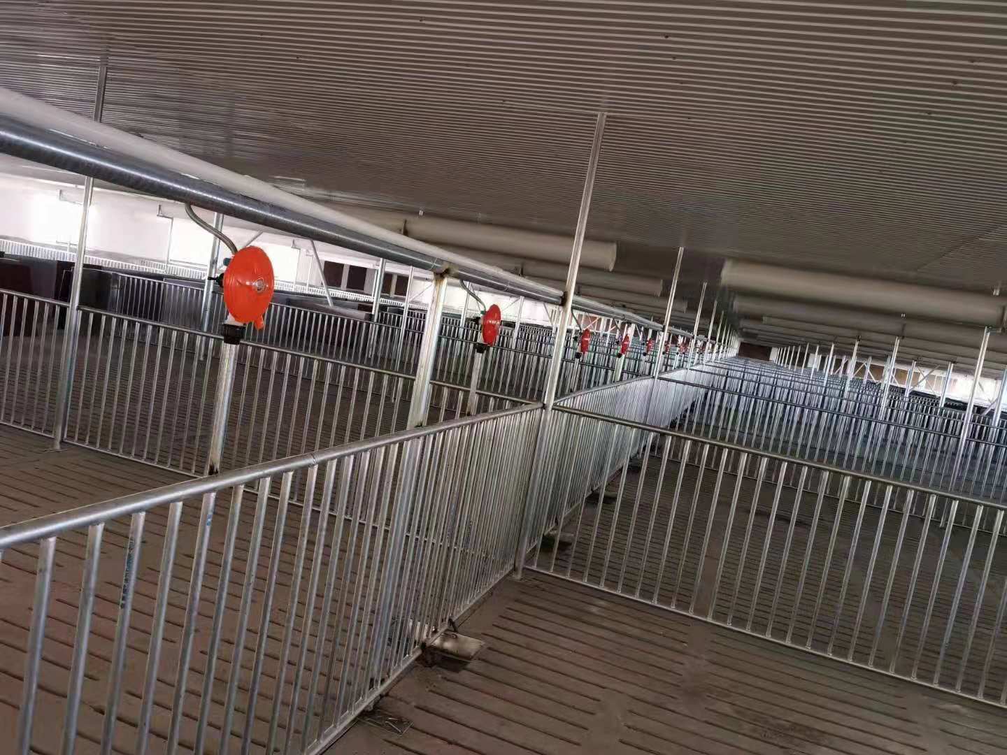 眉县养猪排污系统养猪场污水处理-郑泰畜牧