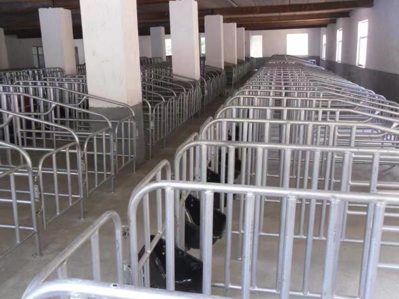 1678149165296740.jpg 31f2216f488e548a3ea5ea092c7058a.jpg