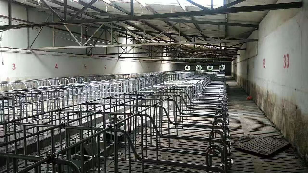 1679017335354588.jpg 856a7b8385f7e0ffbe17d82ad0cab1d.jpg