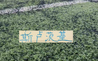 申花官宣斯卢茨基不再担任一线队主教练